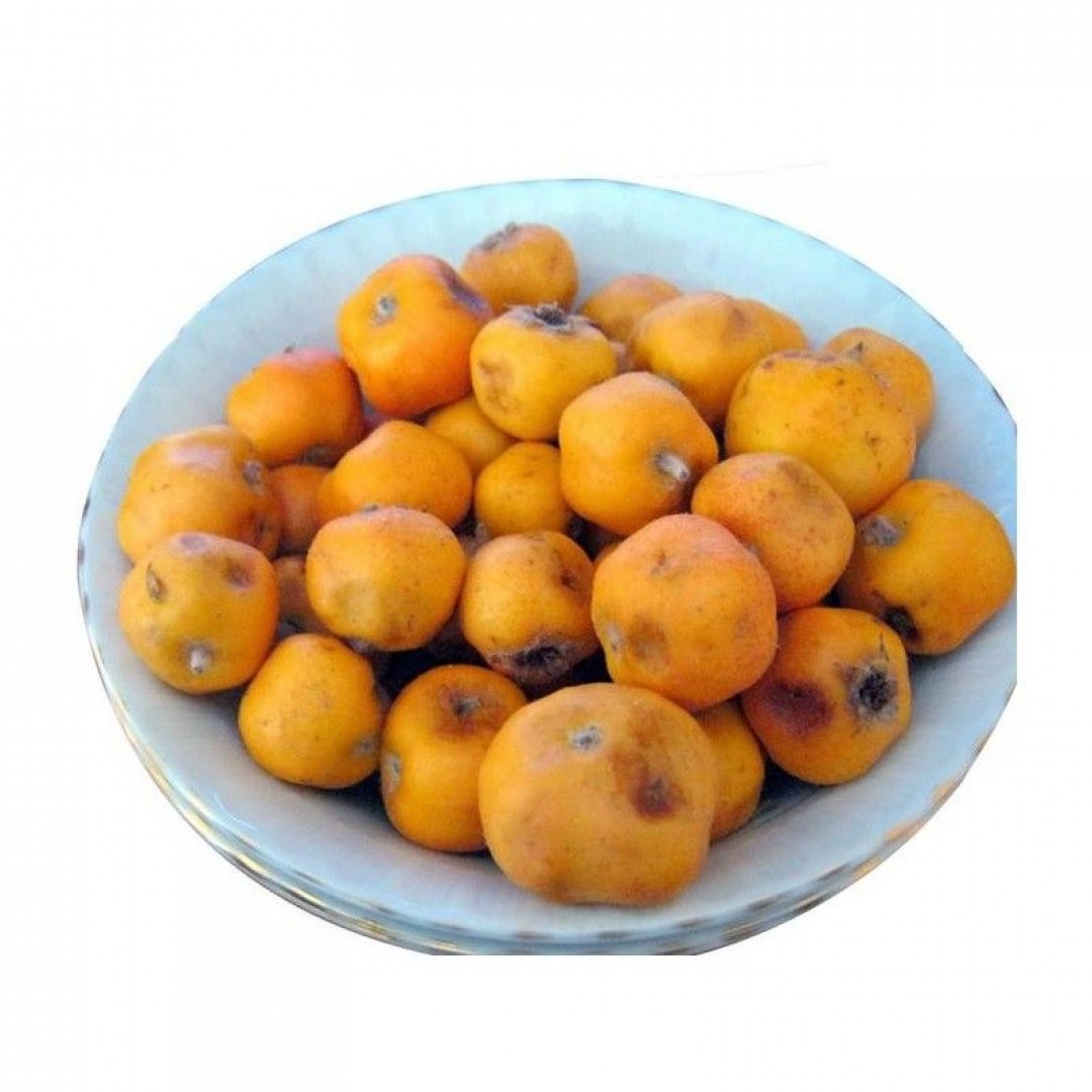 Alıç
