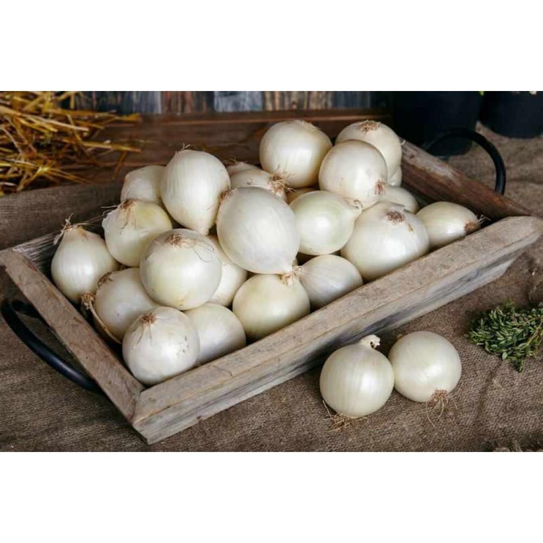 Beyaz Soğan 1 Kg