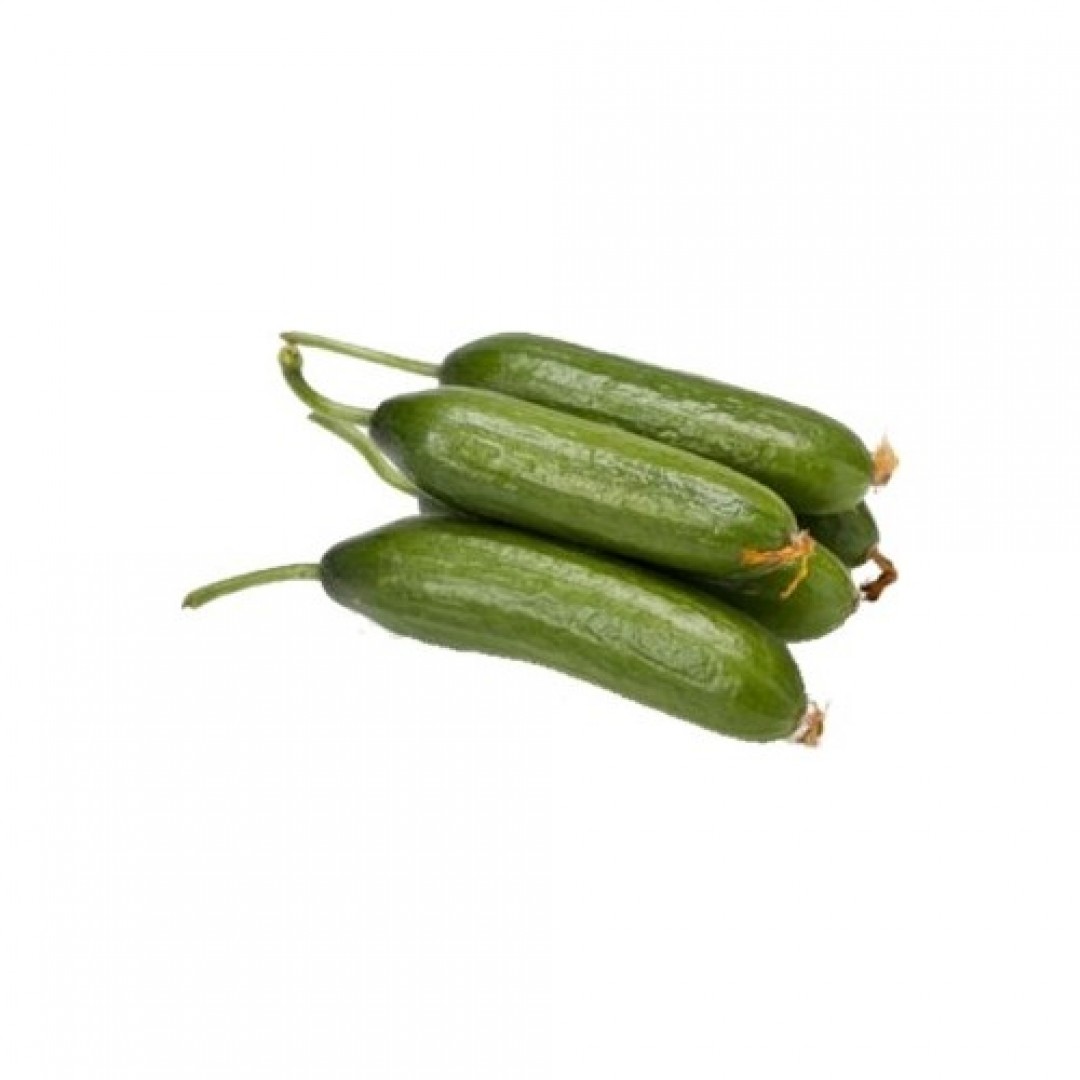 Antalya Salatalık 500 gr